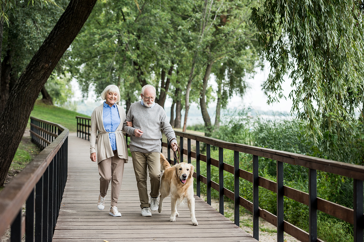 Senior couple walking their dog